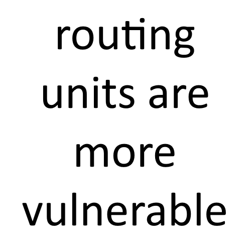 routing units are more vulnerable