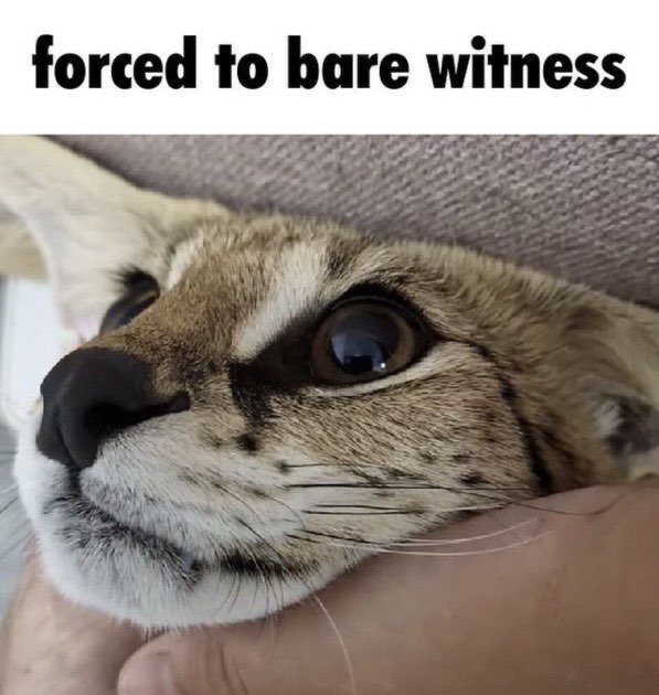 uuhhh yeah sure