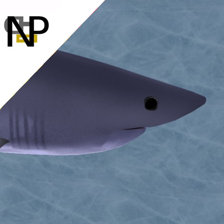 Nerdy Penguin Aquatics - Salmon Shark
