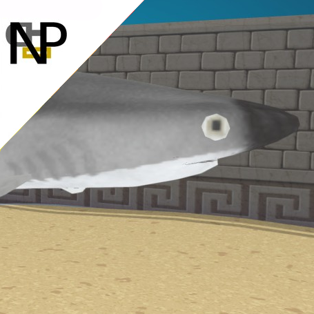 Nerdy Penguin Aquatics - Lesser Known Sharks