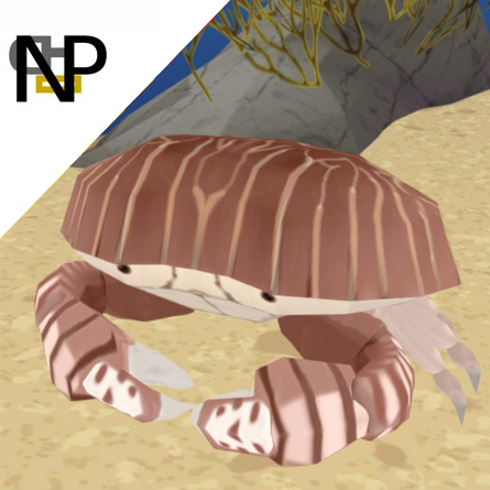 Nerdy Penguin Aquatics - Red Streaked Box Crab