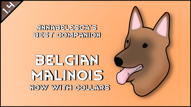 Patch Collar Malinois