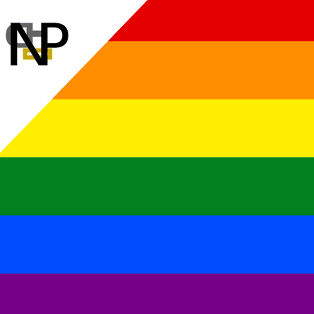 Nerdy Penguin Aquatics - Pride Flags