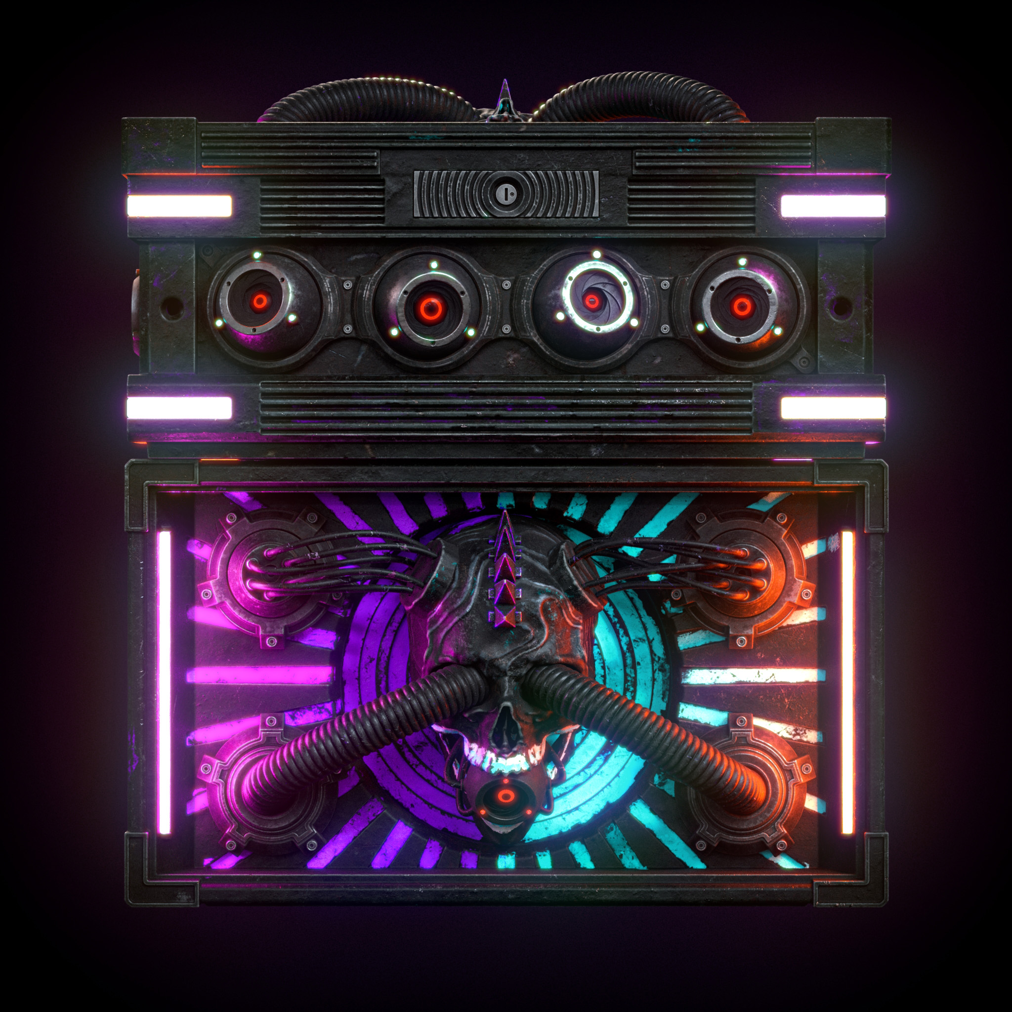 Punkjack Large Wood Box