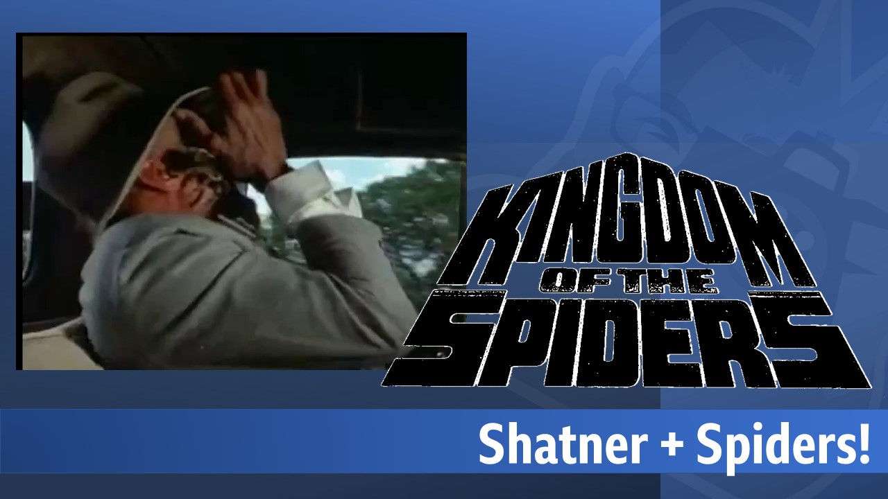 Kingdom of the Spiders