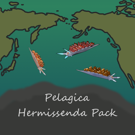 Pelagica - Hermissenda Pack