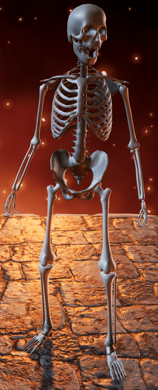 Unarmed Skeleton Warrior