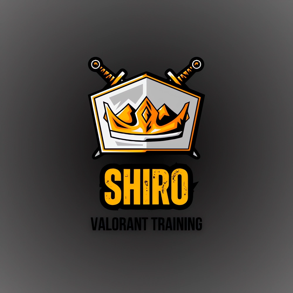 Shiro VALORANT Training preview