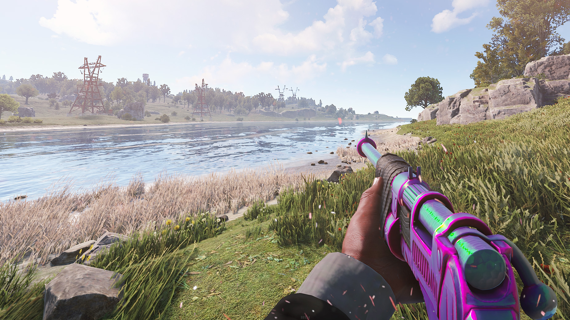 Chameleon Bolt Rifle