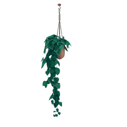 TS4 Hanging plant