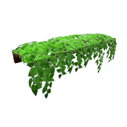 TS4 Hanging wall vines