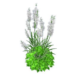 TS4 White delphinium
