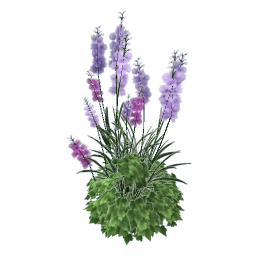 TS4 Purple delphinium