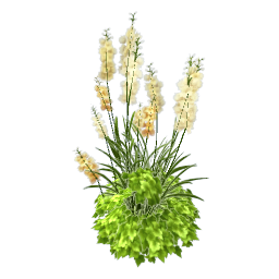 TS4 Yellow delphinium