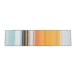 TS4 Corridor carpet - orange and light blue