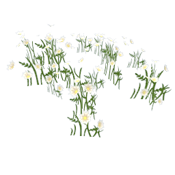 TS4 White flowers
