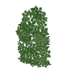 TS4 Wall vine