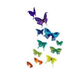 TS4 Butterfly wall decoration - rainbow