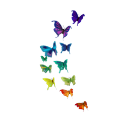 TS4 Butterfly wall decor - rainbow
