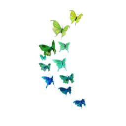TS4 Butterfly wall decor - blue and green