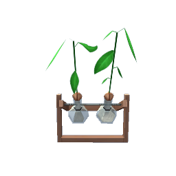 TS4 Plants in flasks
