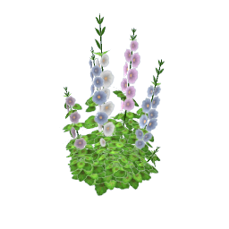 TS4 Hollyhocks - pink and blue