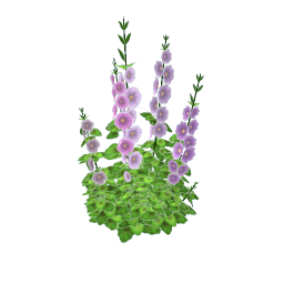 TS4 Hollyhocks - purple