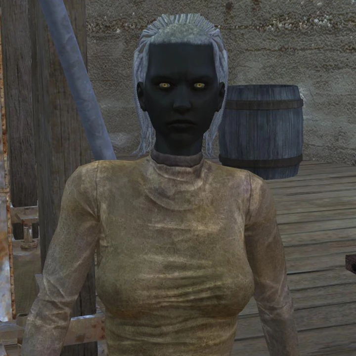 Faction Edit | Segregated Lady Merin (Tech Hunters)