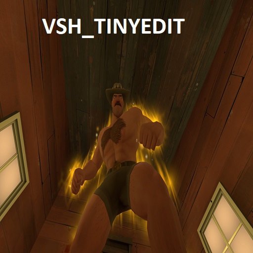 VSH_TINYEDIT – Team Fortress 2 Mod