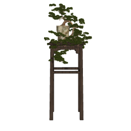 宋代（盆栽）
