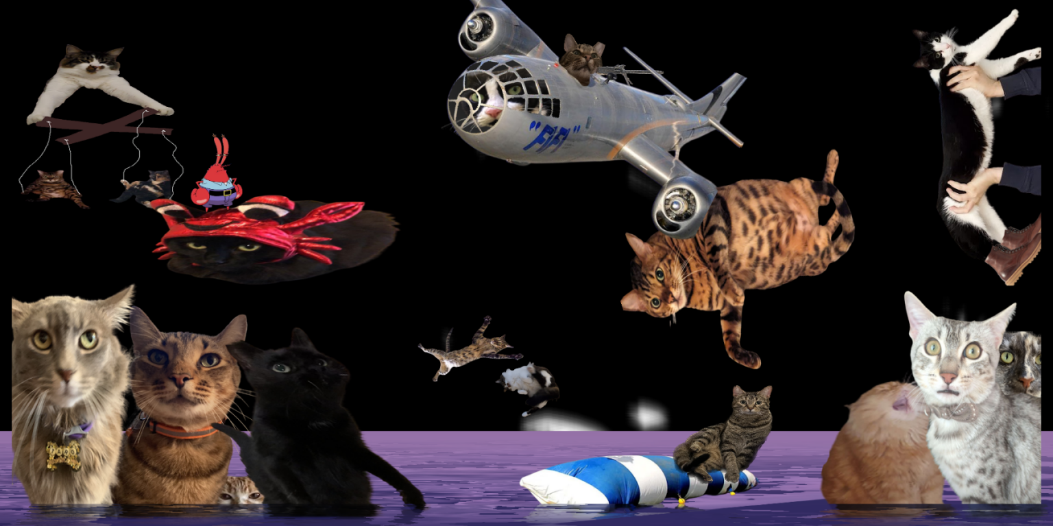 kitty incident