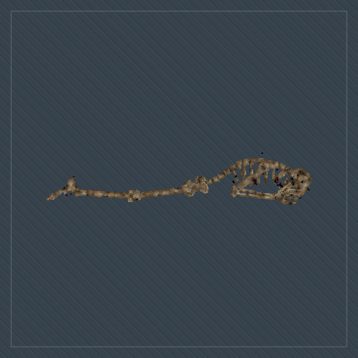 skeleton