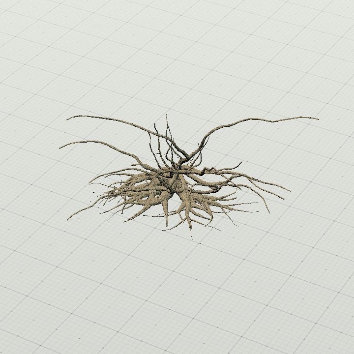 DeadTree1