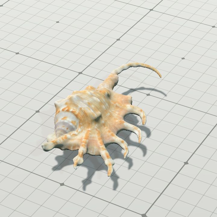 Shell5