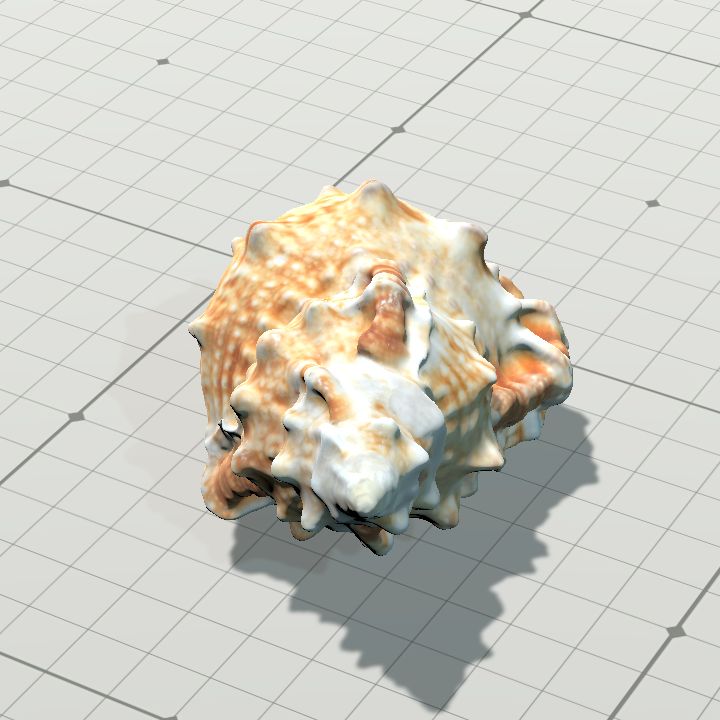 Shell3