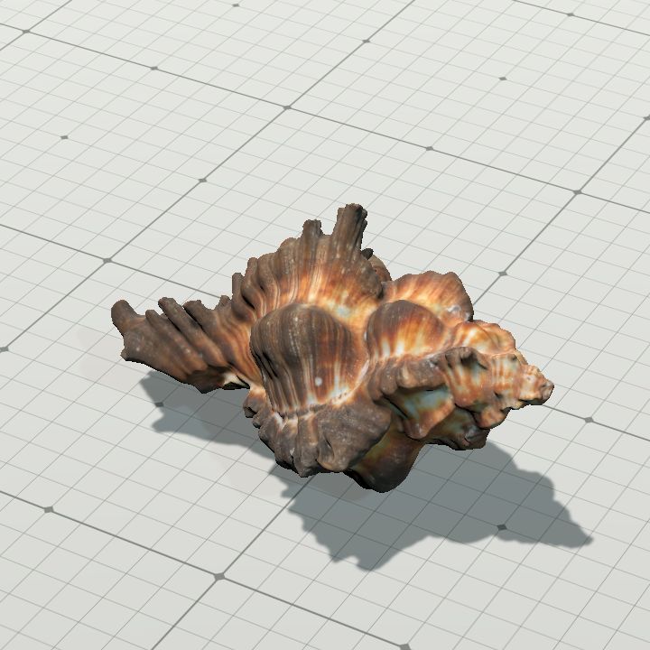 Shell2
