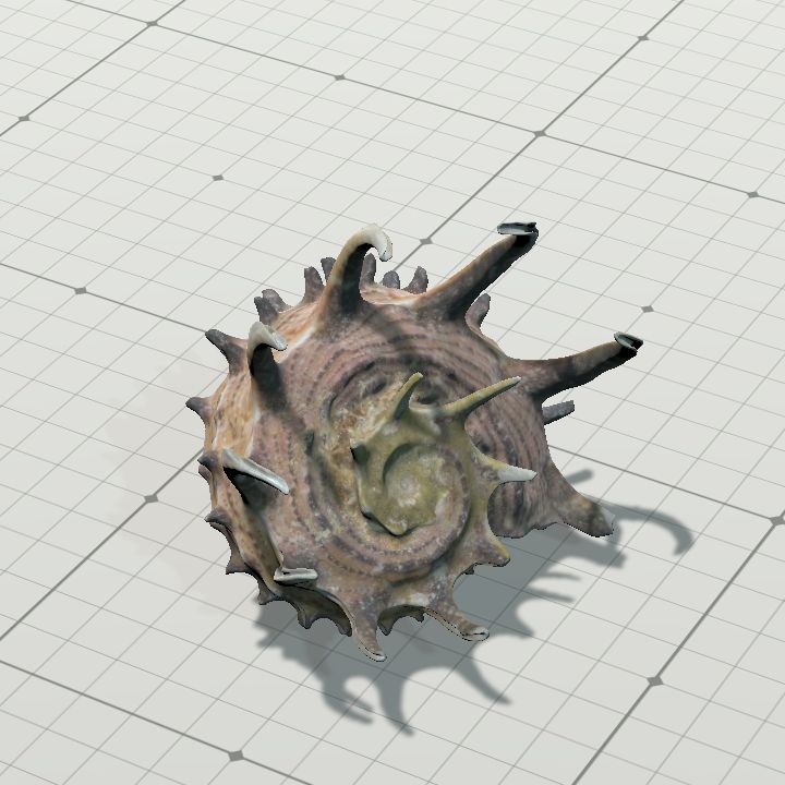 Shell1