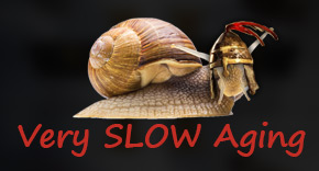 Very Slow Aging