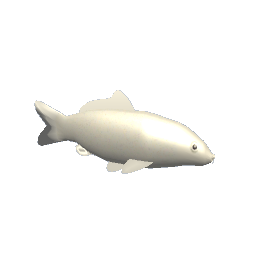 Koi #1