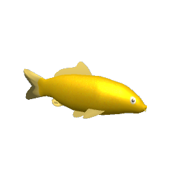 Koi #3