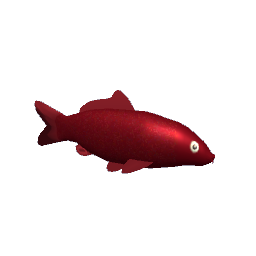 Koi #4