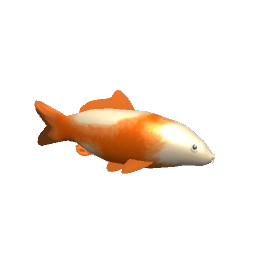Koi #5