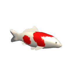 Koi #6