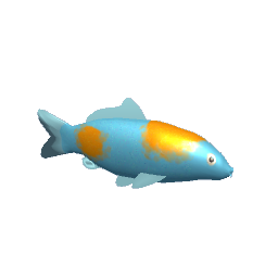 Koi #7
