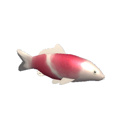 Koi #8
