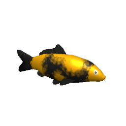 Koi #10