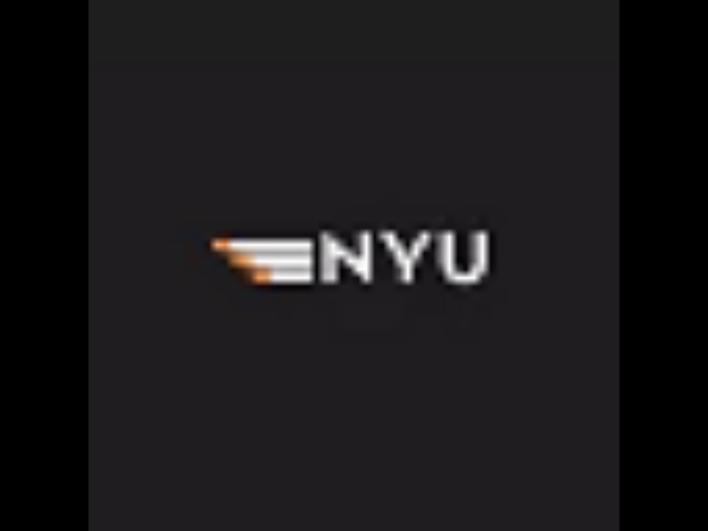 Project NYU – Counter-Strike 2 Mod
