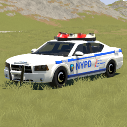 2010 Dodge Charger -