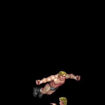 Swan Dive Lariat