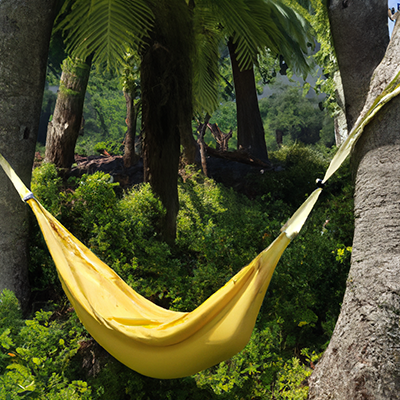 Banana Hammocks